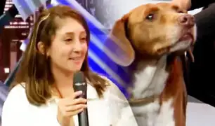 “Paco” el perrito discriminado en Miraflores llega a ASD
