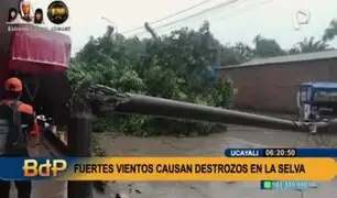 Ucayali: Fuertes vientos causan grandes destrozos en la selva