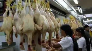 Gripe aviar en Perú: Senasa se pronuncia sobre consumo de pavo o pollo en Navidad