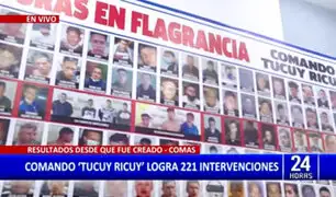 Lucha contra la delincuencia: ‘Tucuy Ricuy’ logra 221 intervenciones desde su creación