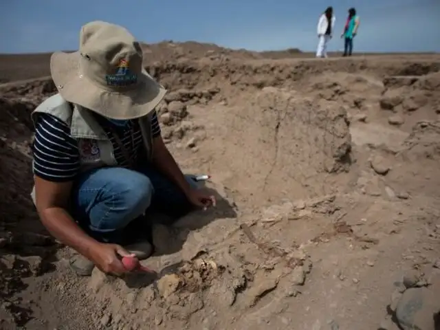 Descubren momias en la huaca Tres Palos del Parque de las Leyendas