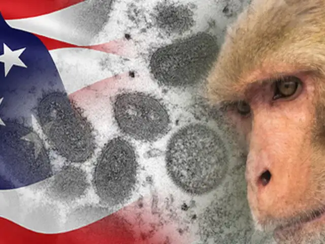 ¡Alerta! EEUU declara la viruela del mono como emergencia sanitaria