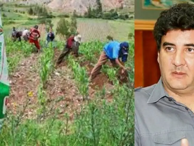 Eduardo Zegarra: "Hacer una nueva licitación de urea sería abandonar a nuestros agricultores"