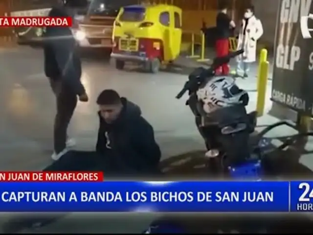 SJM: Capturan a integrantes de peligrosa banda criminal "Los bichos de San Juan"