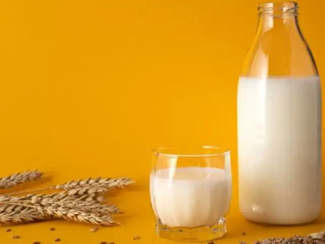 ¿Intolerante a la lactosa?: Conoce estas 5 leches vegetales y sus beneficios para la salud