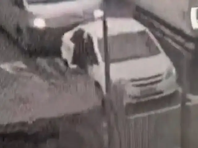 Rímac: Delincuente lanzó enorme piedra a taxi para robarle a la conductora