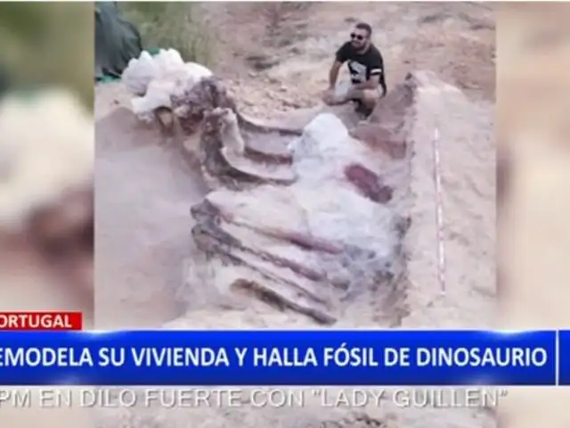 Portugal: Hallan fósil de dinosaurio en el patio de una vivienda