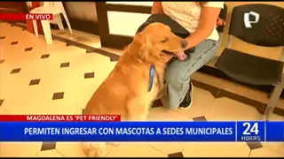 Magdalena: Municipalidad es Pet Friendly y permite realizar trámites con tus mascotas