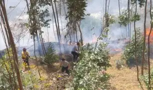 Áncash: informan que incendio forestal de gran magnitud se acerca a zonas pobladas