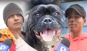 Terribles imágenes: SMP: Perro se escapa de vivienda y mata a otra mascota