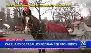 Estados Unidos: Podrían prohibir carruajes de caballos en New York