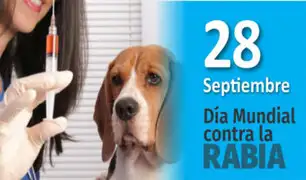 Día Mundial contra la Rabia: importante que las mascotas tengan sus esquemas de vacunación vigentes