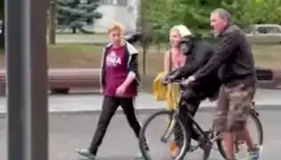 Ucrania: Chimpancé escapa de zoológico por ataques rusos, pero regresa después que le entregan una bicicleta