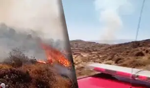 Huaral: Dos muertos deja incendio forestal en Sumbilca