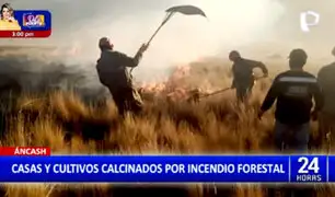 Incendios forestales se extienden en varias partes del país