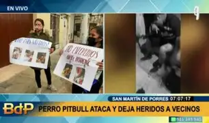 "No más víctimas": perro pitbull ataca por cuarta vez a vecinos de SMP