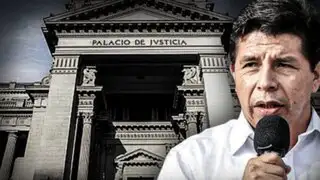 PJ: Declaran infundada solicitud de tutela de derechos en favor del presidente Pedro Castillo