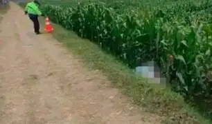 La Libertad: Agricultores hallan cadáver de adolescente en sembrado de maíz
