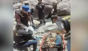 Arequipa: Someterán a exámenes a restos óseos encontrados en Caylloma