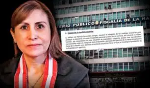 Patricia Benavides: solicitan que se proteja su integridad por investigaciones contra Castillo