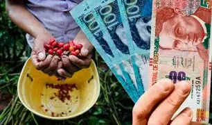 Fertiabono: Mañana inicia el pago del subsidio para agricultores con hasta 10 hectáreas