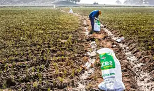 Midagri: Ejecutivo analiza nueva adquisición  internacional de fertilizante mediante la ONU