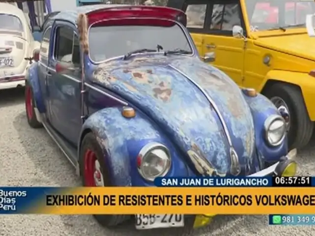 SJL: Presentan exhibición de resistentes e históricos autos Volkswagen