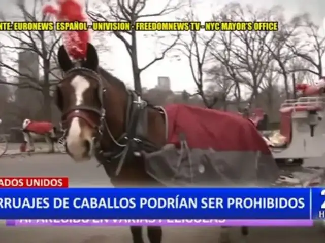 Estados Unidos: Podrían prohibir carruajes de caballos en New York
