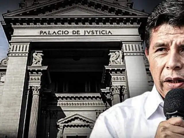 PJ: Declaran infundada solicitud de tutela de derechos en favor del presidente Pedro Castillo