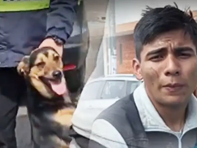 Cae por robar una bicicleta y su perro lo acompañó hasta la comisaría