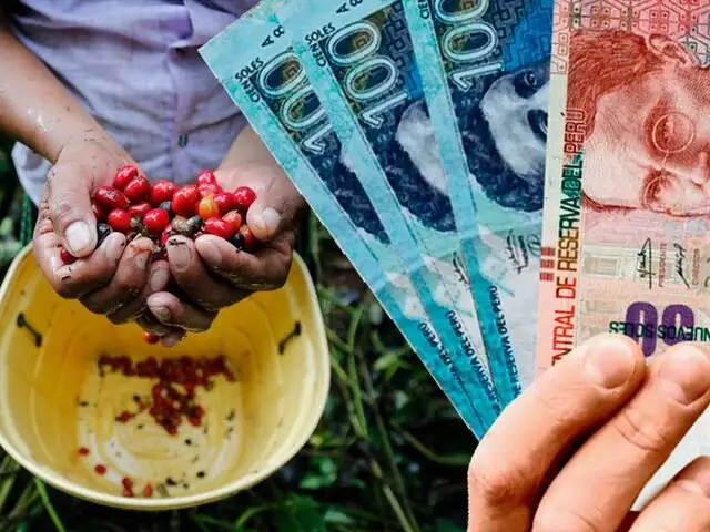 Fertiabono: Mañana inicia el pago del subsidio para agricultores con hasta 10 hectáreas