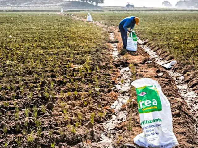 Gobierno anuncia su intención de construir una planta de fertilizantes en el país