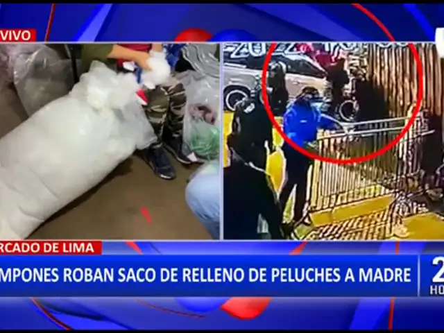 Cercado de Lima: Delincuentes roban saco con materiales para hacer peluches