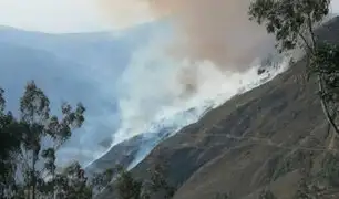 Áncash: incendio forestal destruye hectáreas de pastos naturales,  arbustos y bosques de eucalipto
