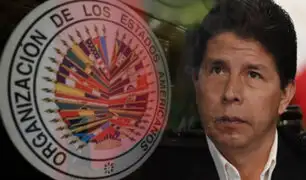 OEA respalda a Pedro Castillo en activar la Carta Democrática a fin de preservar la institucionalidad