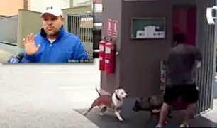 Dueño de pitbull asegura que "no se hará cargo" de gastos médicos por el ataque de su mascota