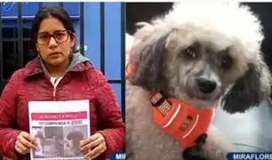 Familia ofrece recompensa de S/2000 para hallar a mascota que escapó de veterinaria