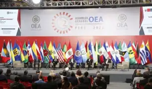 OEA propone que grupo de alto nivel visite el Perú el 20 de noviembre, dice Canciller Landa