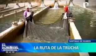 La ruta de la trucha en Canta: piscigranjas o criaderos son los atractivos turísticos de Huaros