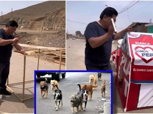 Virtual alcalde de Puente Piedra transforma propaganda electoral en casa para perritos