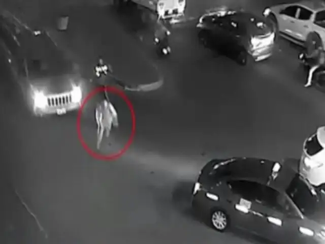 Persecución en Surco: ladrón en moto huye en sentido contrario, choca contra auto y es capturado