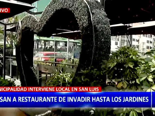 San Luis: restaurante invade vereda pública y construye sobre áreas verdes