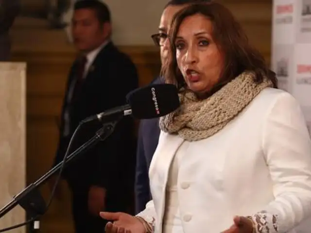 Dina Boluarte: Subcomisión continuará este viernes 21 con evaluación de denuncias constitucionales