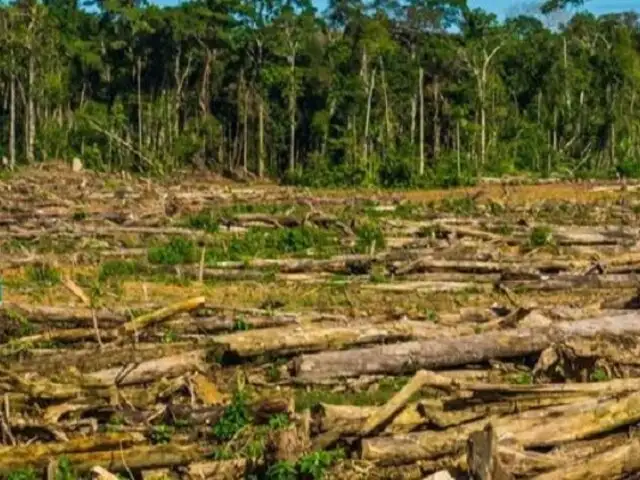 Congreso: Comisión Agraria busca aprobar por insistencia norma que pone en grave peligro a la Amazonía peruana