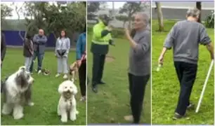 Miraflores: hombre acusado de golpear a perritos amenazó con regresar con una pistola