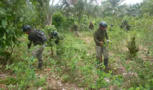El narcotráfico sigue ganando terreno en la selva peruana