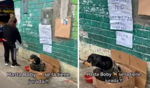 Perro pide limosna en la calle con letrero: “Tengo hambre, culpa de Castillo”