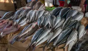 Atención amas de casa: venderán pescado a precio de costo en varios distritos de Lima
