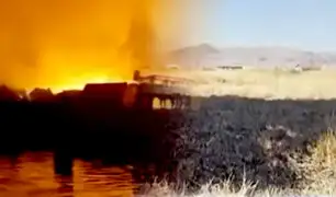 Puno: incendio por quema de totorales en 'Los Uros' casi alcanza colegio