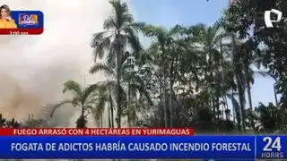 Yurimaguas: voraz incendio consume más de cuatro hectáreas de madera